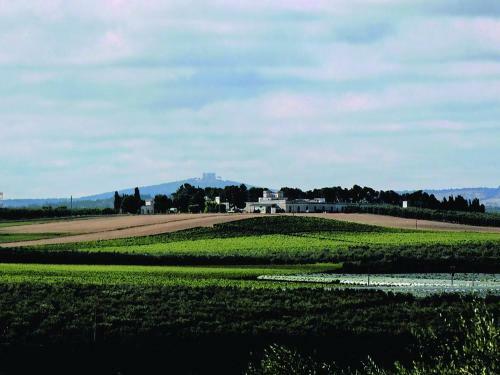 Agroturismo Terre Di Traiano