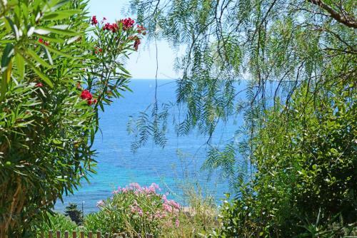 La C�te Bleue