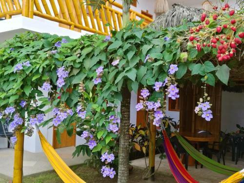 Hotel La Mariposa Hostal