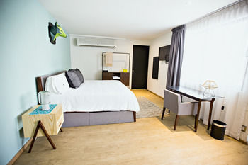 Pug Seal Polanco Boutique B&B