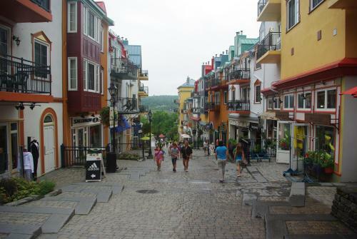 Bb Saffron Tremblant