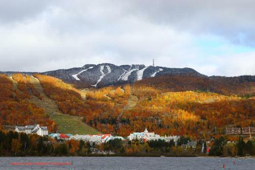 Bb Saffron Tremblant