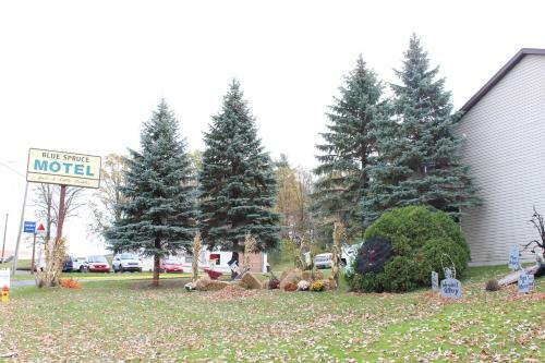 Blue Spruce Motel