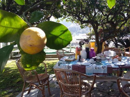 Bed & Breakfast Soleluna