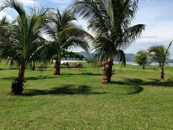 Hotel Mar Y Sol Ecotel