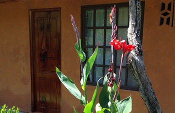 Hotel Mar Y Sol Ecotel
