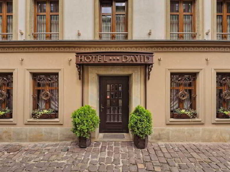 Hotel David
