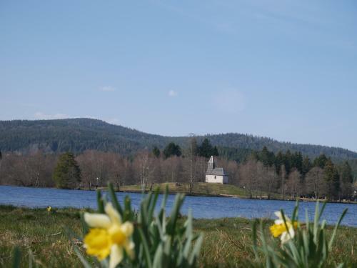 Chalet Retournemer