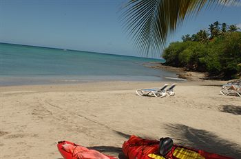 Hotel Calabash Cove Resort And Spa
