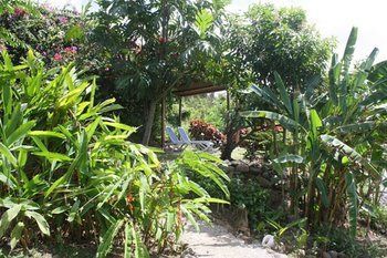 Hotel Calabash Cove Resort And Spa