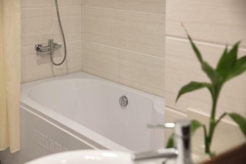 Serene Boutique Hotel & Spa
