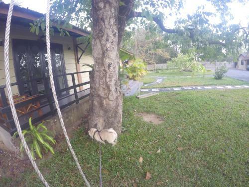 Hotel Salty River Resort