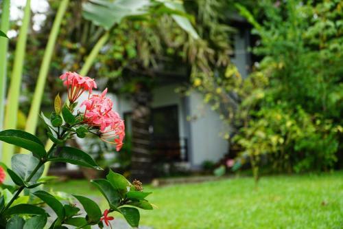 Hotel Salty River Resort