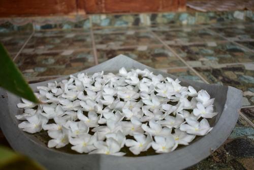 Bed & Breakfast Villa Aroshina