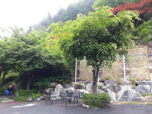 Slow Walk Pension