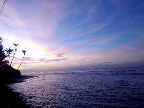 Hotel Turtle Eco Beach