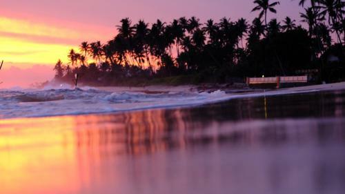 Hotel Turtle Eco Beach