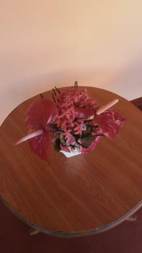 Hostal Sunny Lanka Guest House