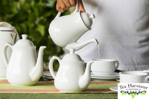 Hotel Tea Harvester