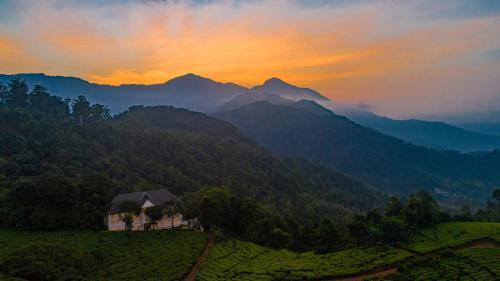 Hotel Tea Harvester