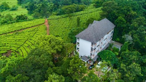 Hotel Tea Harvester