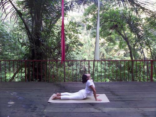 Senetan Villas And Spa Resort