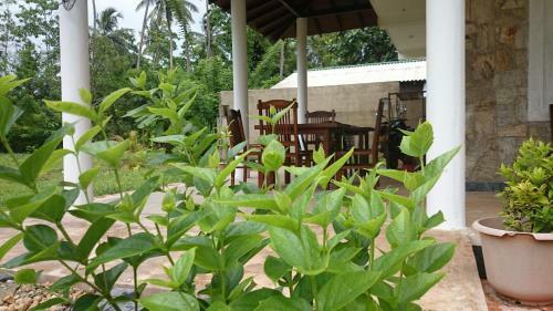 Bed & Breakfast Ritz Surf Resort