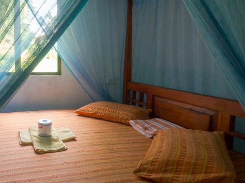 Posada Surf Mount Plant Inn Midigama