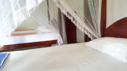 Hostal Splendid Lodge