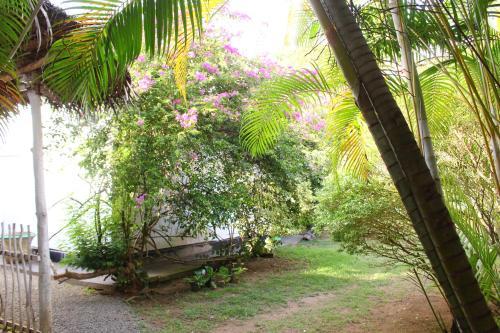 Bed & Breakfast Hotel Aerwyna