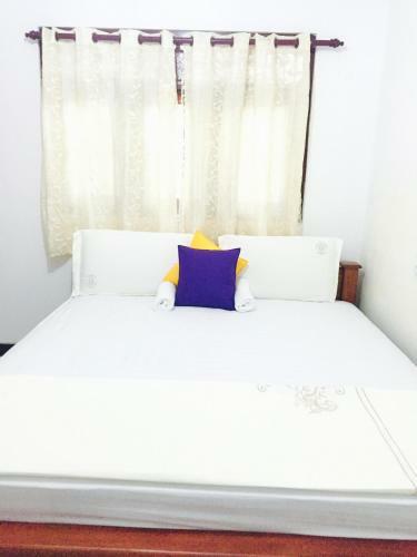 Hostal Foot Parth Camellia Guest House