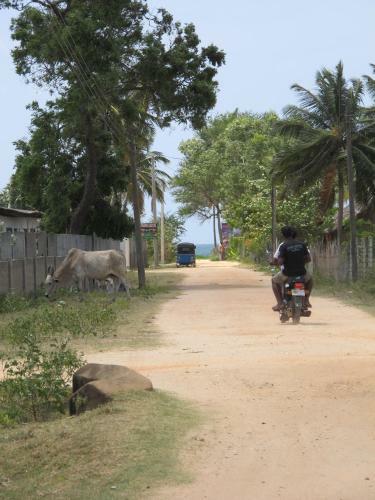 Hostal Gopalapuram Guest House