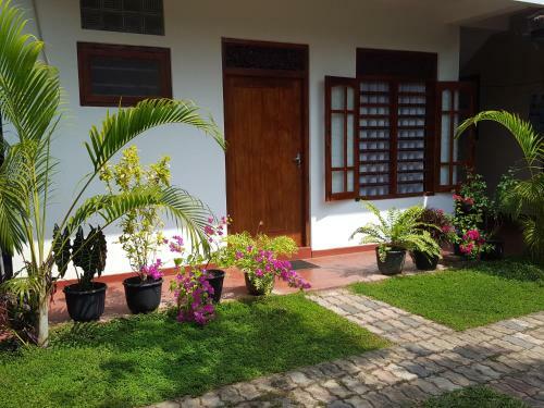Hostal Green Mountain Rest Mirissa