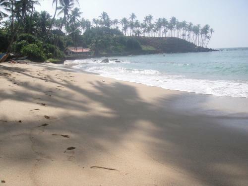 Hostal Sunray Rest - Beach View Homestay