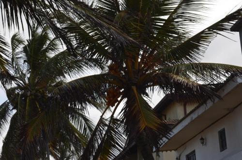Hostal Winston Beach Guest House