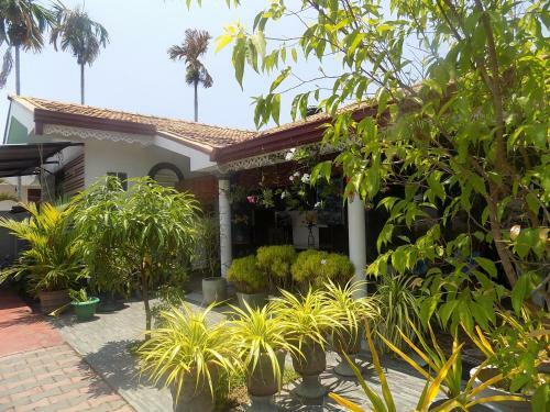 Hostal Alexandra Family Villa