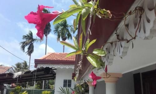 Hostal Alexandra Family Villa