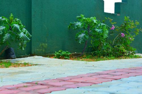 Hostal Guest House Hill Paradise