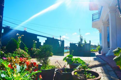 Hostal Guest House Hill Paradise