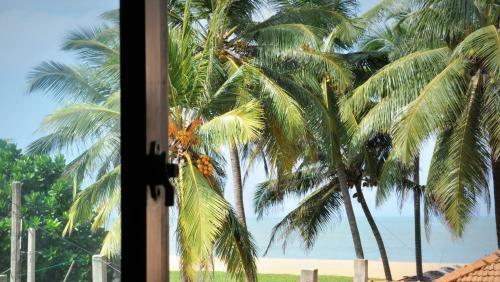 Hostal Blumarine Guest House