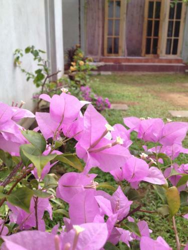 Manik Home Stay