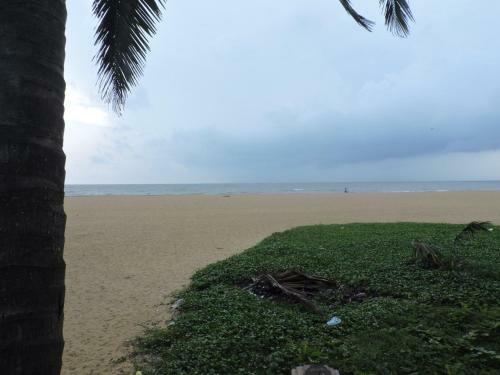 Hotel Oasis Beach Resort