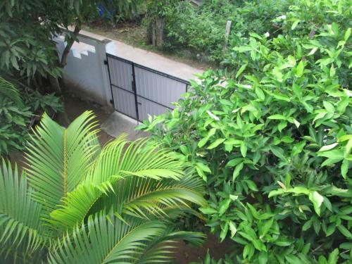Bay Reach Home Stay
