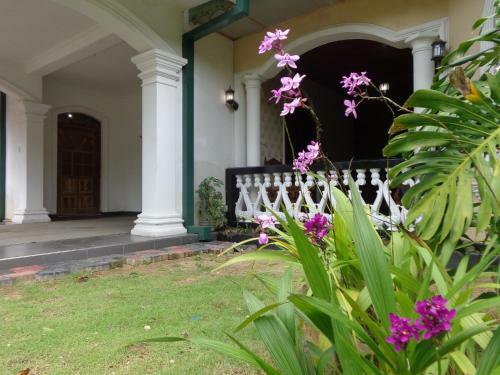 Hansa Holiday Homes