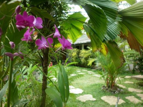 Bed & Breakfast Palm Garden Guest House