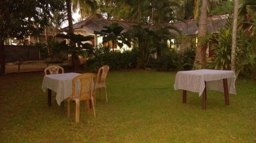 Bed & Breakfast Palm Garden Guest House