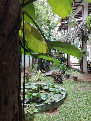 Hostal Ruins View Holiday Resort