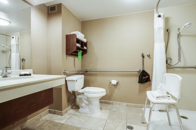Hotel Hampton Inn San Antonio-downtown