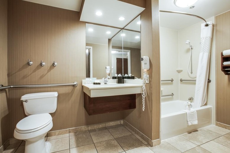 Hotel Hampton Inn San Antonio-downtown