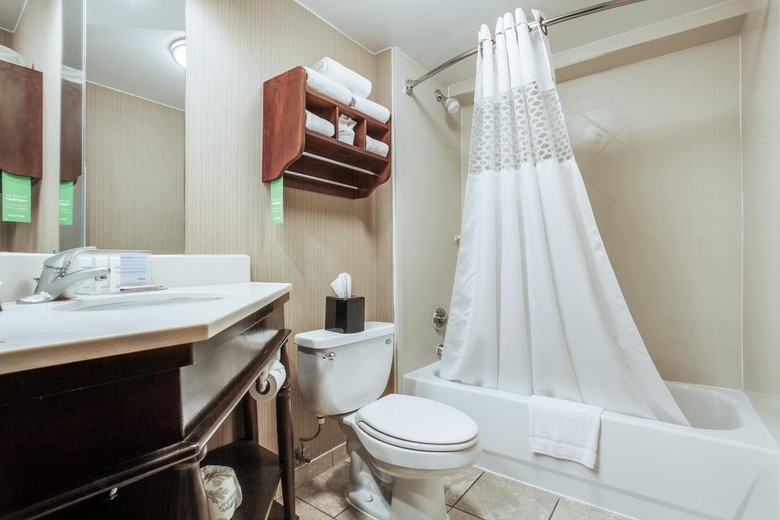 Hotel Hampton Inn San Antonio-downtown